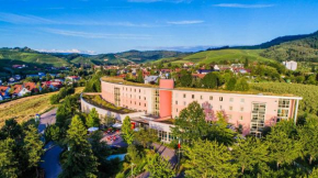 Отель Dorint Hotel Durbach/Schwarzwald  Дурбах